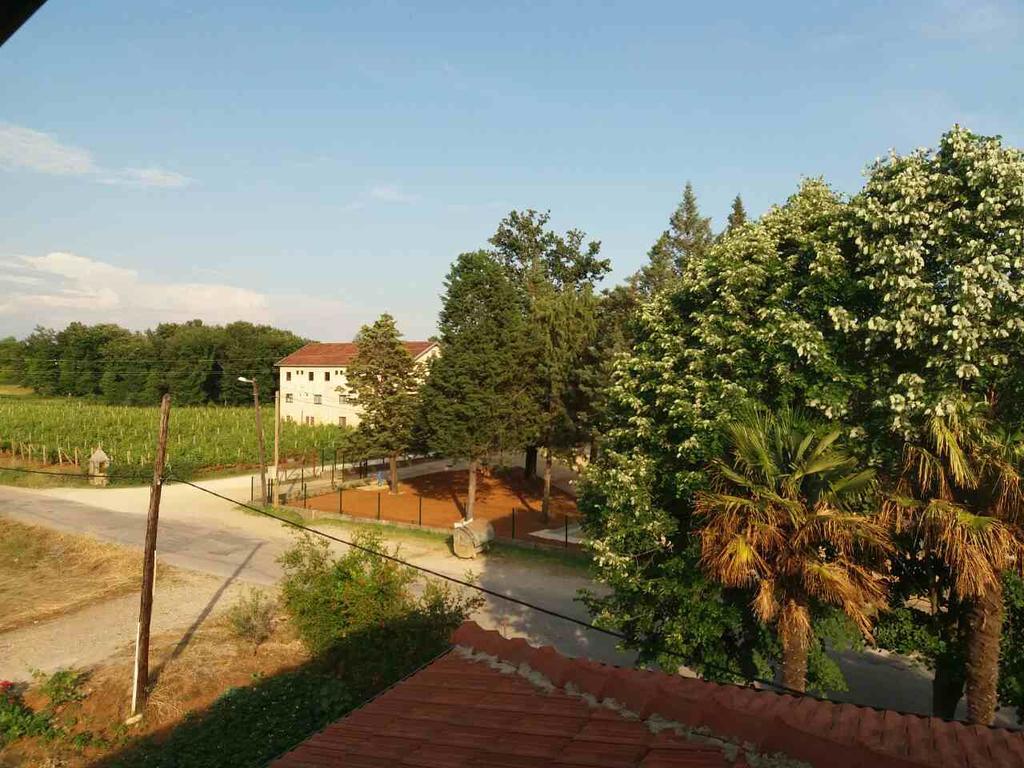 Pansion Ljubica Hotel Medugorje Bagian luar foto